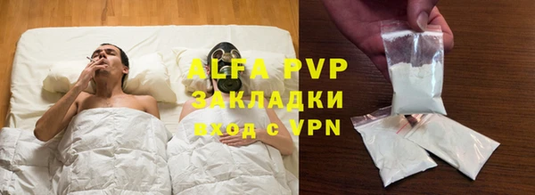 прущие грибы Белокуриха