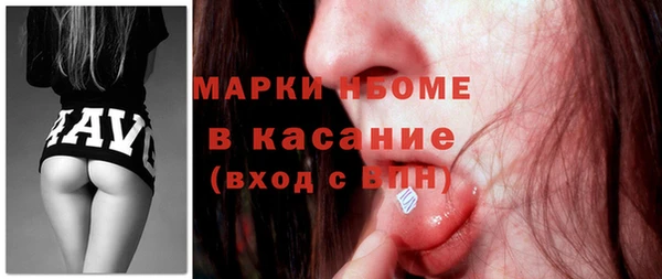 прущие грибы Белокуриха