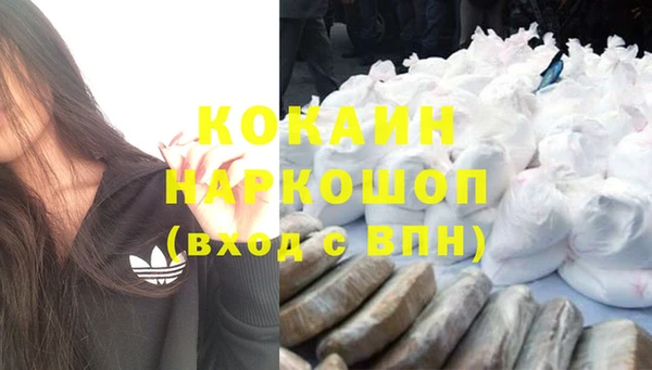 PSILOCYBIN Семёнов